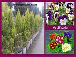 تصاویر نرم افزار