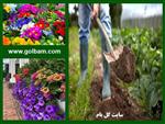 تصاویر نرم افزار