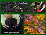 تصاویر نرم افزار