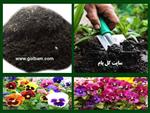 تصاویر نرم افزار