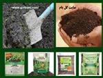 تصاویر نرم افزار