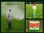 تصاویر نرم افزار