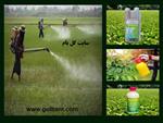 تصاویر نرم افزار