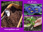 تصاویر نرم افزار