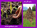 تصاویر نرم افزار