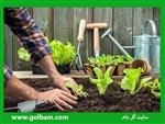 تصاویر نرم افزار