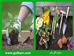 تصاویر نرم افزار