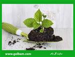 تصاویر نرم افزار