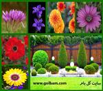 تصاویر نرم افزار