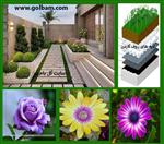 تصاویر نرم افزار