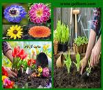 تصاویر نرم افزار