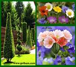 تصاویر نرم افزار