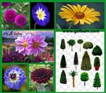 تصاویر نرم افزار