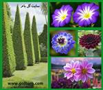 تصاویر نرم افزار