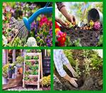 تصاویر نرم افزار