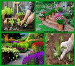 تصاویر نرم افزار