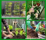 تصاویر نرم افزار