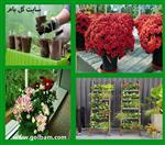 تصاویر نرم افزار