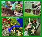 تصاویر نرم افزار