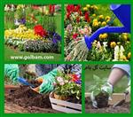 تصاویر نرم افزار