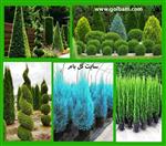 تصاویر نرم افزار
