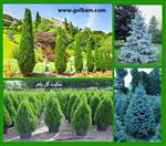 تصاویر نرم افزار