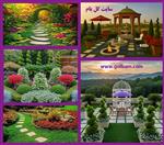 تصاویر نرم افزار