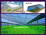 تصاویر نرم افزار