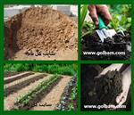 تصاویر نرم افزار