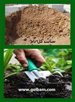 تصاویر نرم افزار