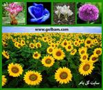 تصاویر نرم افزار