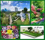 تصاویر نرم افزار