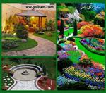 تصاویر نرم افزار