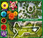 تصاویر نرم افزار
