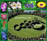 تصاویر نرم افزار