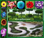 تصاویر نرم افزار