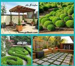 تصاویر نرم افزار