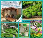 تصاویر نرم افزار