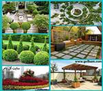 تصاویر نرم افزار