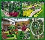 تصاویر نرم افزار