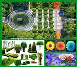 تصاویر نرم افزار