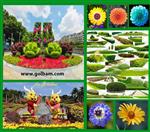 تصاویر نرم افزار