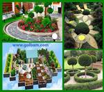 تصاویر نرم افزار