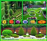 تصاویر نرم افزار