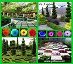 تصاویر نرم افزار