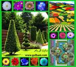 تصاویر نرم افزار