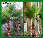 تصاویر نرم افزار