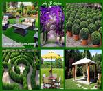 تصاویر نرم افزار