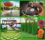 تصاویر نرم افزار