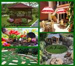 تصاویر نرم افزار